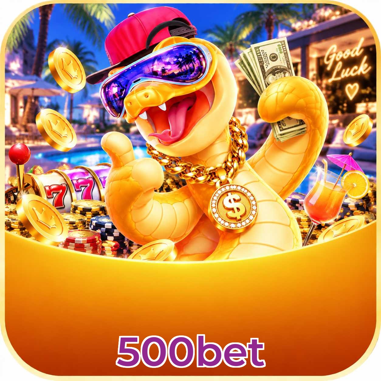 500bet App Features